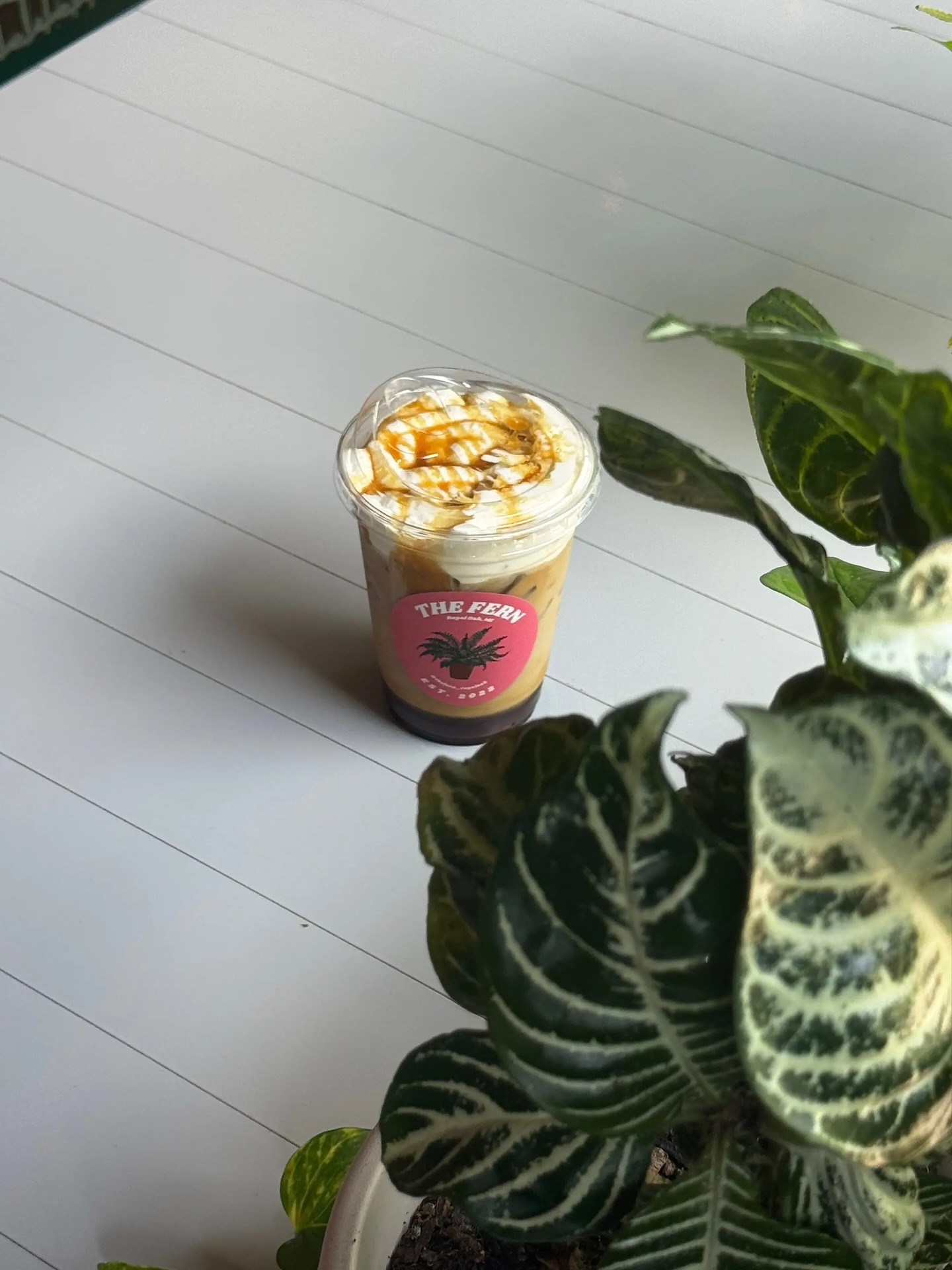 Premium Matcha